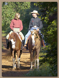 Cross Training with equine treadmills can speed your horses recover and have you back on the trail soon!