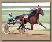 Standardbred harness racers benefit from hydrotherapy in horse treadmills