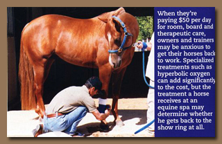 Horse Spas pamper your horse and can help get your horse back in the show ring healthy, happy and fit